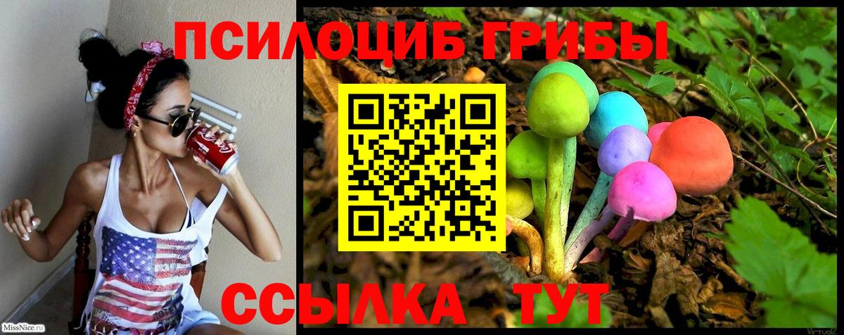 Псилоцибиновые грибы Cubensis Вышний Волочёк