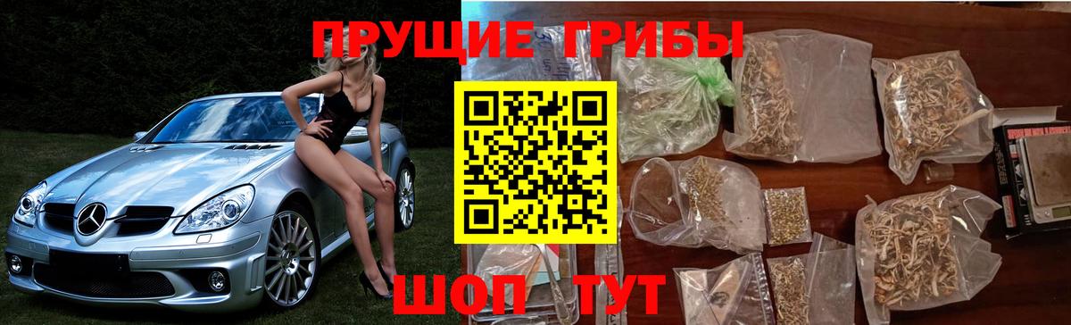 Псилоцибиновые грибы GOLDEN TEACHER  Псилоцибиновые грибы ЛСД  Вышний Волочёк  Вход с VPN 